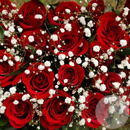 Композиция из роз и гипсофил в коробке в магазине Цветы Планеты