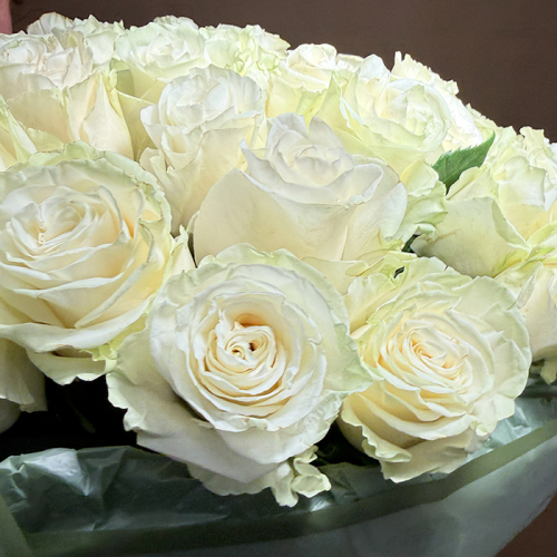 Букет из белых роз Эквадор 25 шт. 60 см. в магазине Цветы Планеты