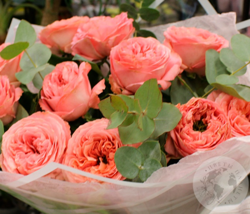 Букет из 11 роз и эвкалипта в магазине Цветы Планеты