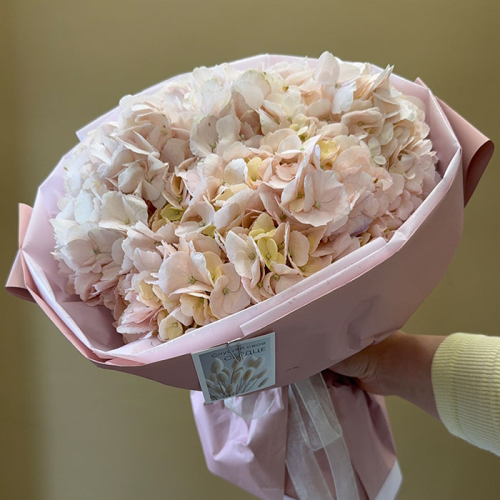 Монобукет из гортензий в магазине Цветы Планеты