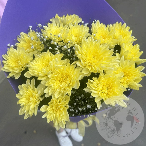 Букет из хризантем и гипсофил в магазине Цветы Планеты