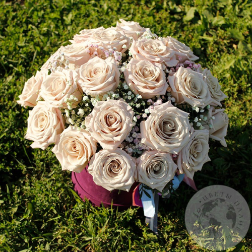 Композиция из роз и гипсофил в коробке "Нежная" в магазине Цветы Планеты