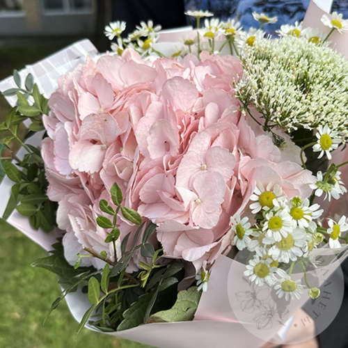 Букет с гортензией и фисташкой в магазине Цветы Планеты