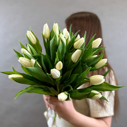 Букет из 25 белых тюльпанов в магазине Цветы Планеты