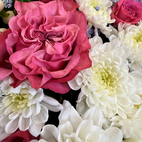 Букет из роз и гипсофилы крашенной в магазине Цветы Планеты