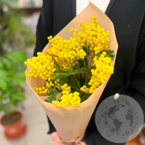 Букет из мимозы в магазине Цветы Планеты