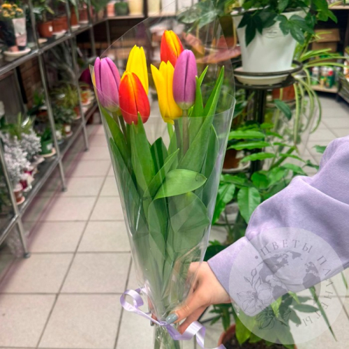 Букет из 7 тюльпанов в магазине Цветы Планеты