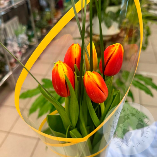 Букет из 5 тюльпанов красно-желтых в магазине Цветы Планеты