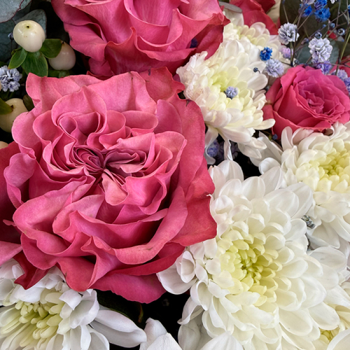 Букет из роз и гипсофилы крашенной в магазине Цветы Планеты