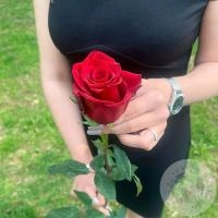 Роза красная 110 см. в магазине Цветы Планеты