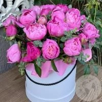 25 розовых пионов в шляпной коробке в магазине Цветы Планеты