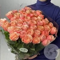 41 роза коралловая 41 шт. 70 см