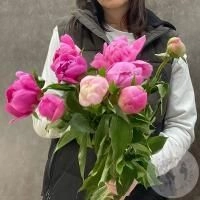 9 пионов розовых российских в магазине Цветы Планеты