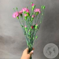 3 кустовых гвоздики розовых в магазине Цветы Планеты
