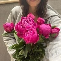 7 пионов розовых в магазине Цветы Планеты