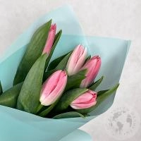 5 тюльпанов розовых в магазине Цветы Планеты