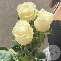 3 розы белых 70 см. в магазине Цветы Планеты