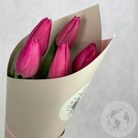5 тюльпанов бордовых в магазине Цветы Планеты