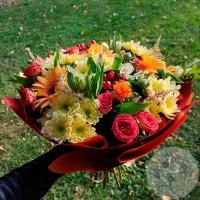 Букет из гербер, роз, хризантем и альстромерий