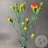 3 кустовых гвоздики желто-красных в магазине Цветы Планеты 3 кустовых гвоздики желто-красных