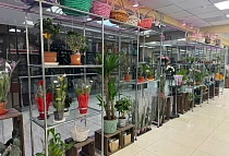 г. Москва, Дмитровское шоссе, д. 98 с г. Москва, Дмитровское шоссе, д. 98 с