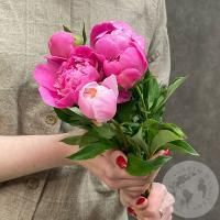 5 пионов розовых российских в магазине Цветы Планеты