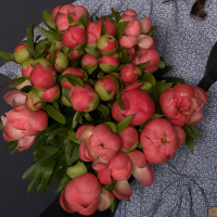 47 пионов розовых в магазине Цветы Планеты
