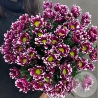 9 Хризантем кустовых фиолетовых