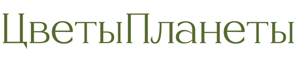 Цветы Планеты Цветы Планеты