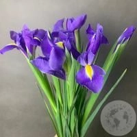 7 синих ирисов в магазине Цветы Планеты