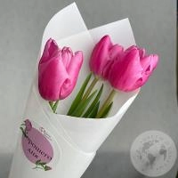 3 тюльпана бордовых в магазине Цветы Планеты