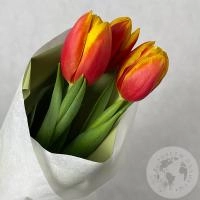 3 тюльпана красно-желтых в магазине Цветы Планеты
