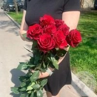 11 роз красных 110 см.