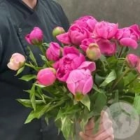 13 пионов розовых российских в магазине Цветы Планеты