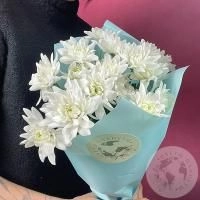 5 Хризантем кустовых белых в магазине Цветы Планеты