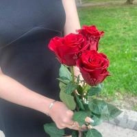 3 розы красных 110 см. в магазине Цветы Планеты