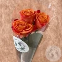3 розы оранжевых 60 см. в магазине Цветы Планеты