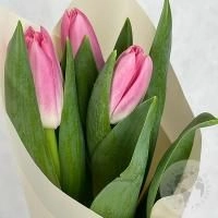 3 тюльпана розовых в магазине Цветы Планеты
